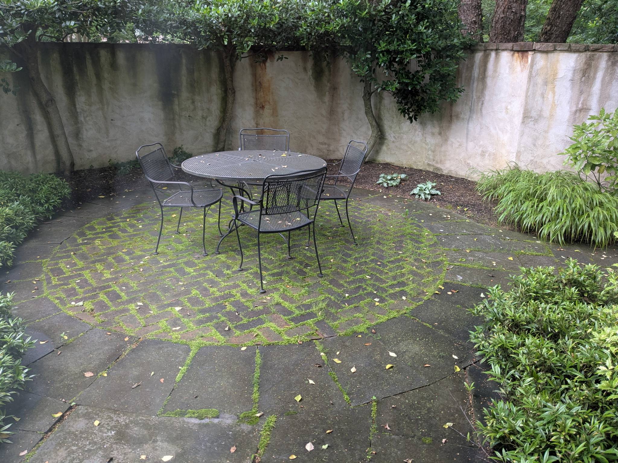 19 Haverford Power Wash Before