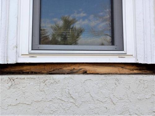40 Radnor Window Wood Rot Before