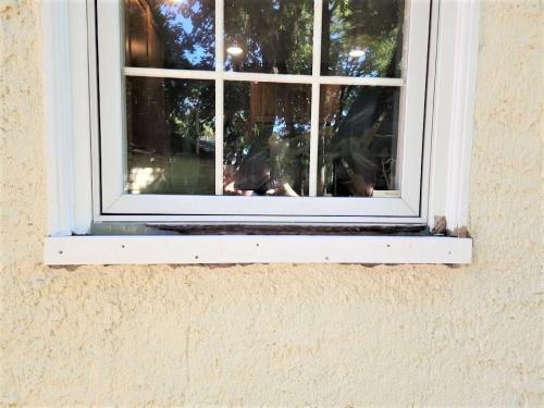 37 Radnor Window Repair During